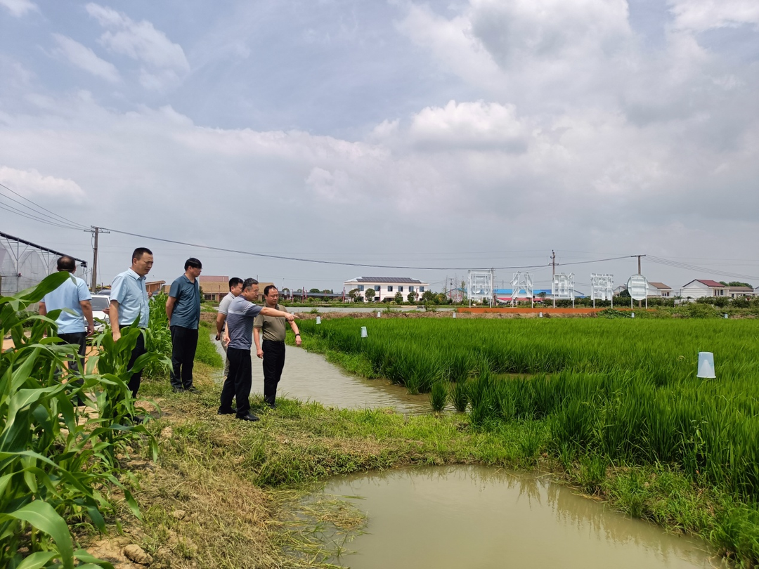 刘少军院士调研我区稻渔示范基地