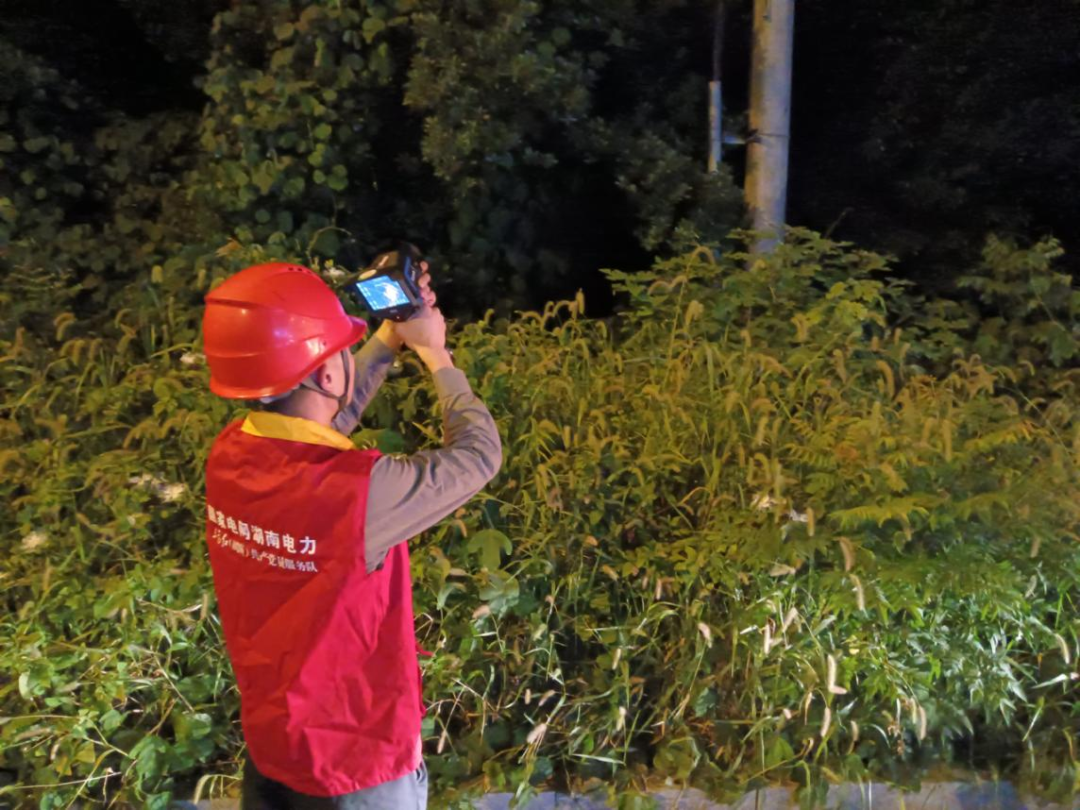 高温特巡保供电 筑牢线路“安全网”
