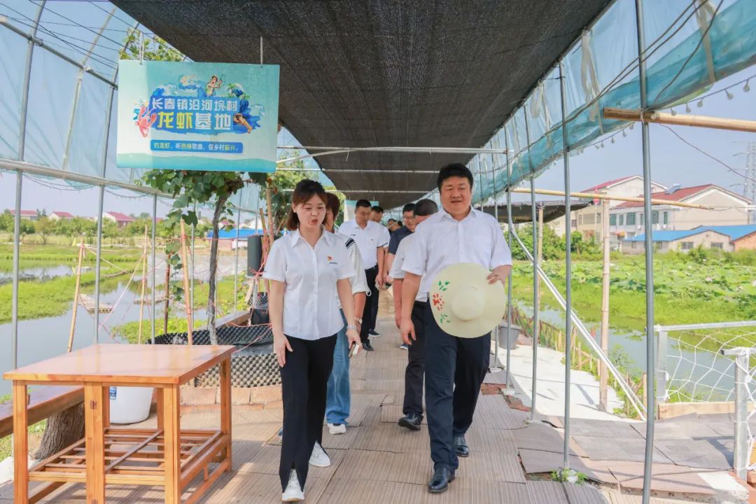 付振南调研软弱涣散党组织整顿和乡村振兴有效衔接工作