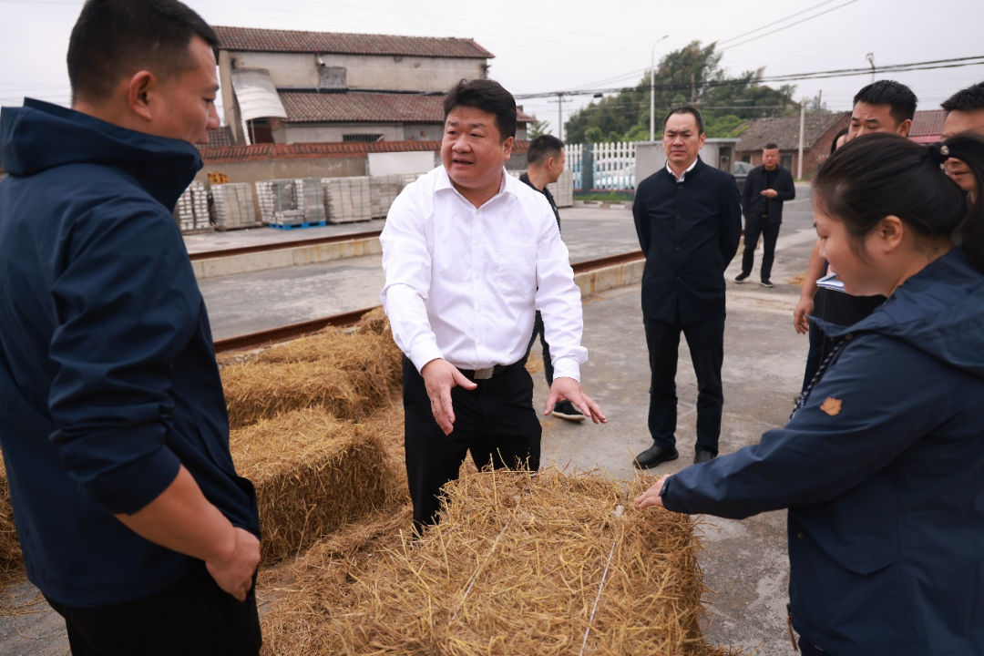 付振南率队督导秸秆禁烧和综合利用工作