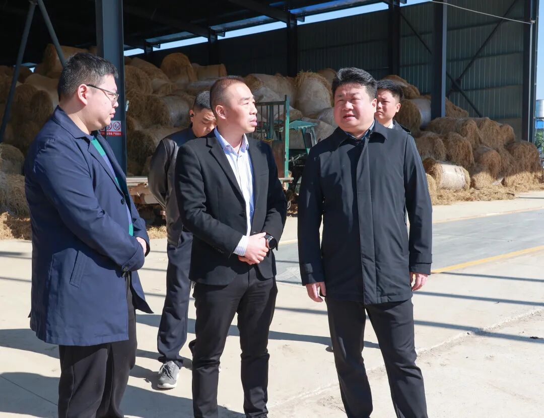 付振南调研秸秆综合利用和禁烧管控工作