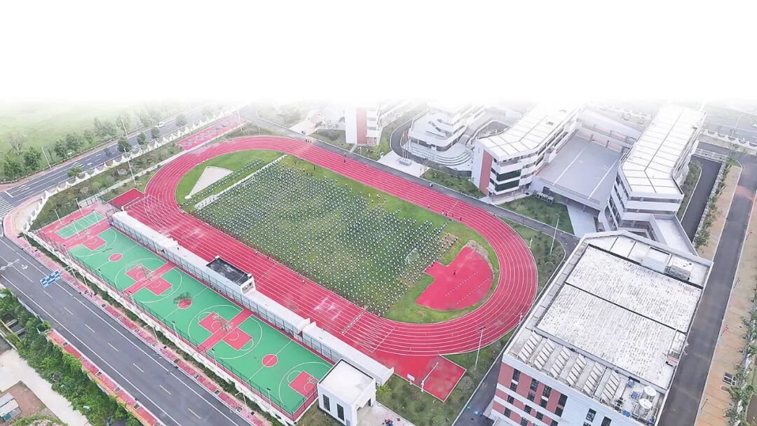 育人图景 润物无声——资阳区“十四五”基础教育高质量发展纪实