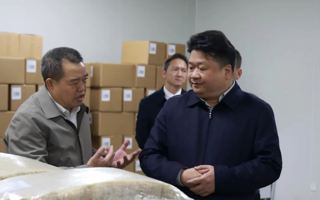 付振南调研休闲食品产业并召开座谈会