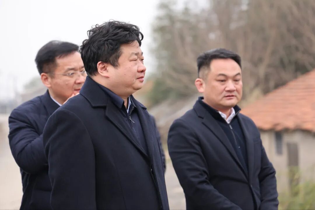 付振南调研督导资阳区鸟类等野生动物保护工作