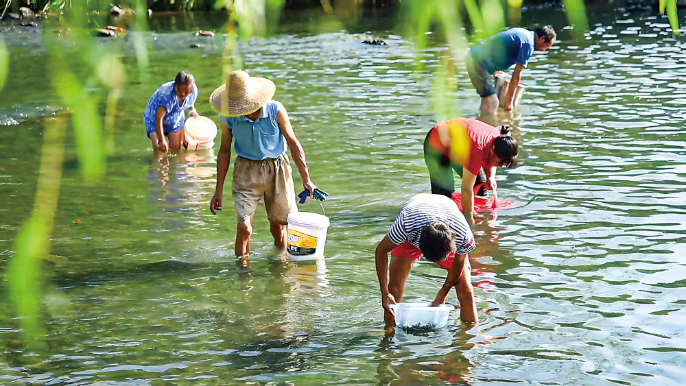 蹲点十村，看乡村振兴再出发｜新华蹲点调研