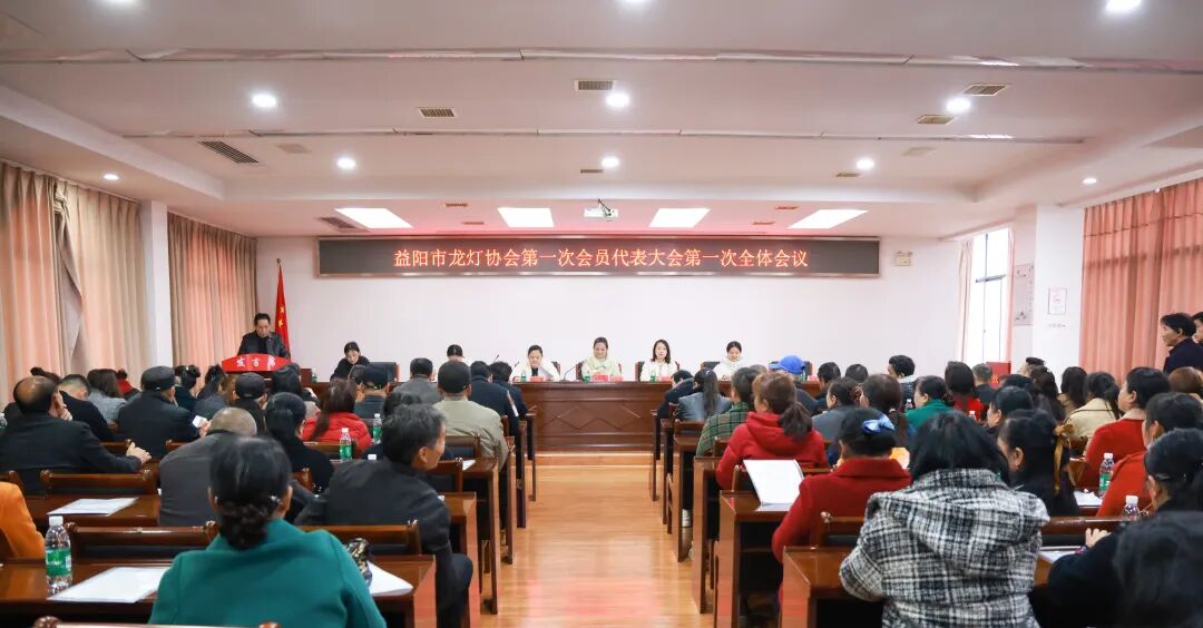 益阳市龙灯协会成立