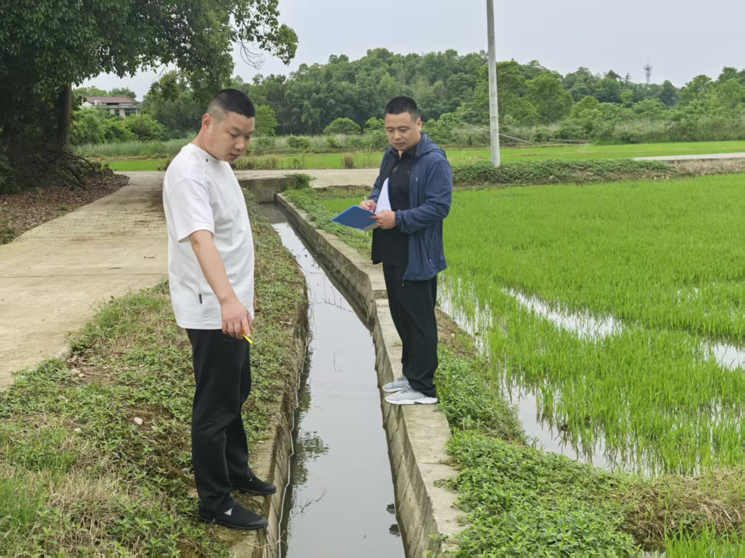 资阳区：扎实推进专项整治 夯实粮食安全根基