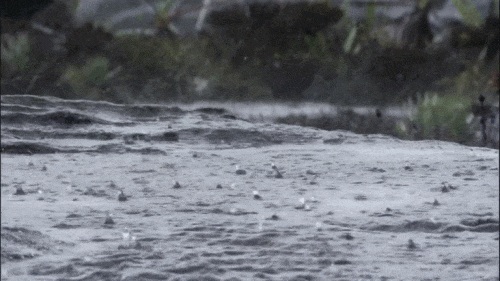 伞“焊”身上！未来几天，益阳雨雨雨……本周末局地有较强降雨