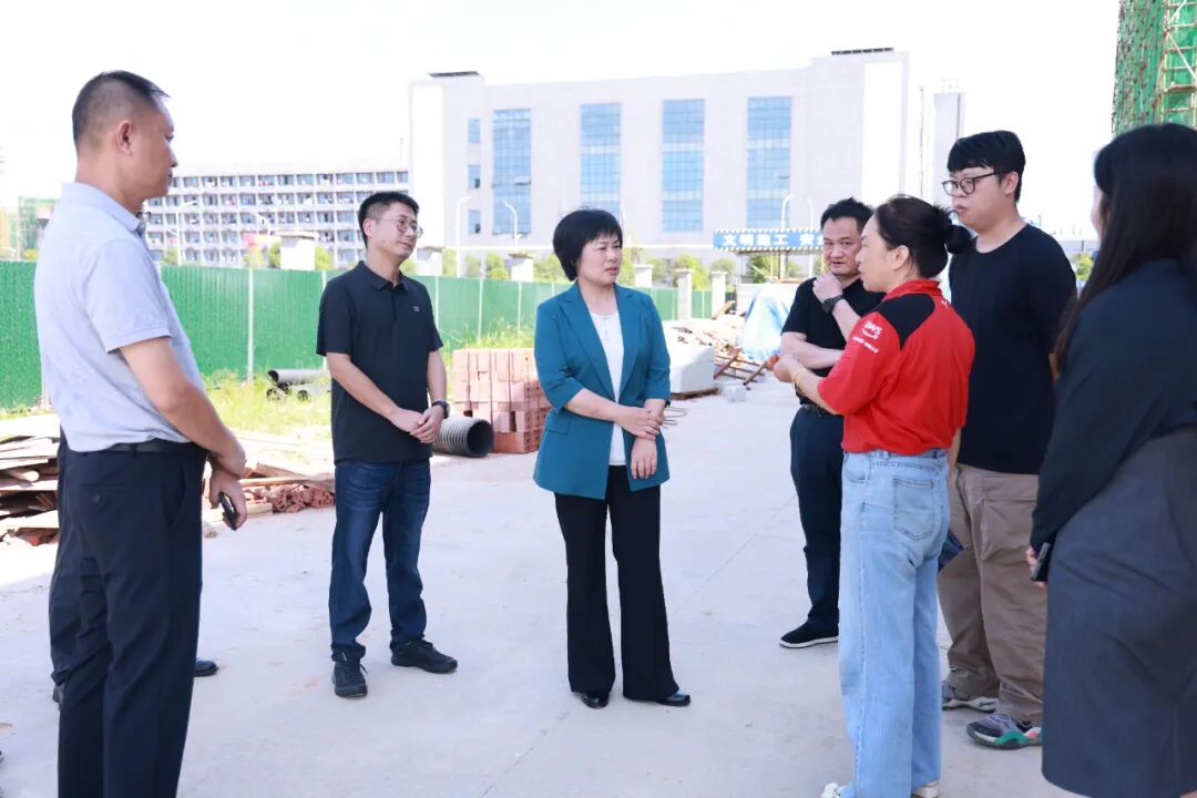 林红华调研重点项目建设情况