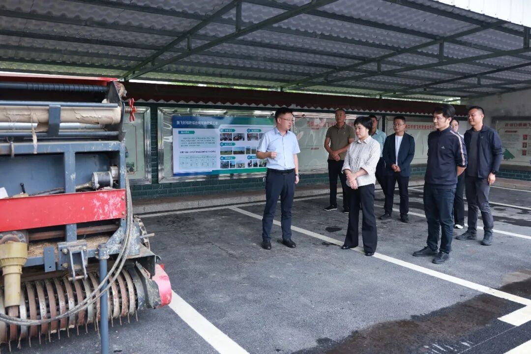 林红华到茈湖口镇调研督导秸秆禁烧和综合利用工作