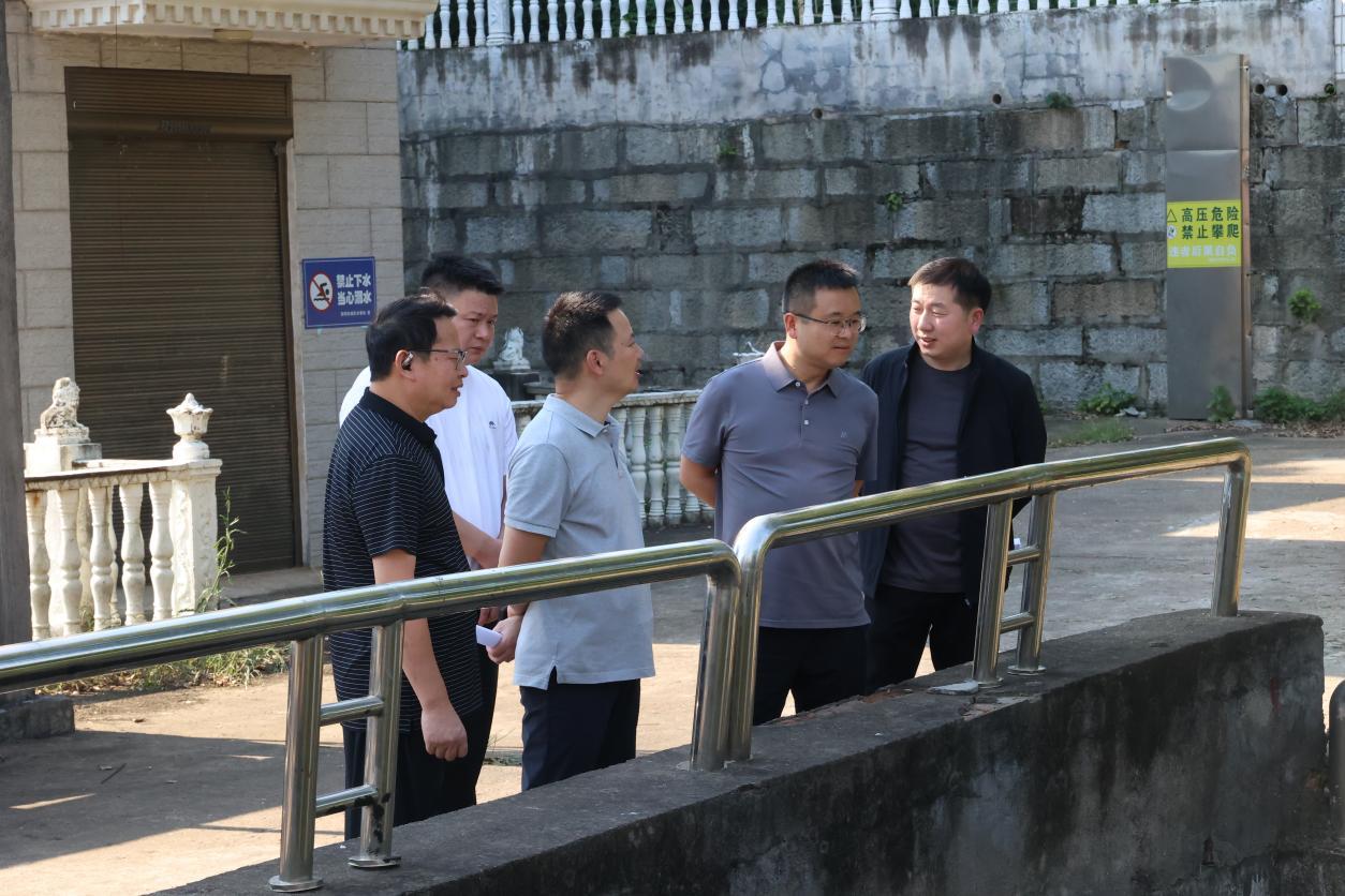 资阳区实地督导第二轮第二批省生态环境保护督察“回头看”交办件办理工作