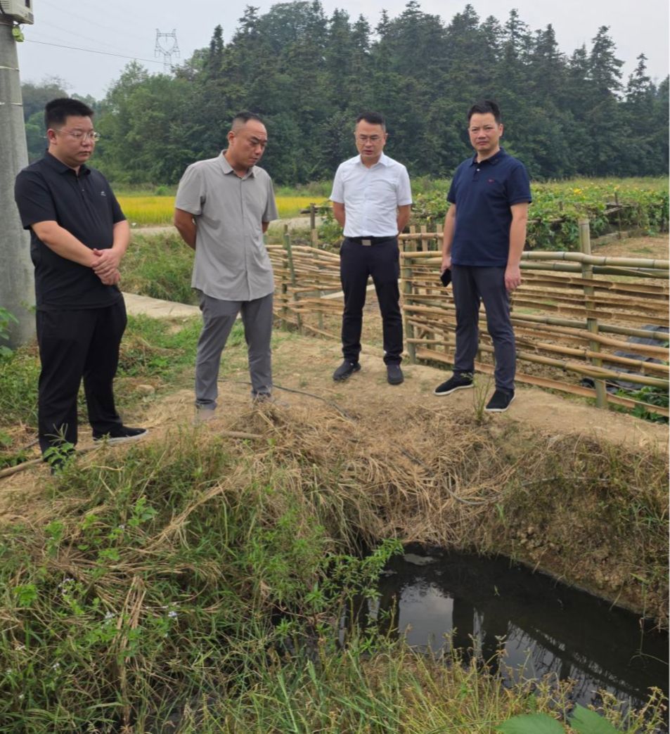 资阳区开展省生态环境保护督察“回头看”交办信访件整改专项督导
